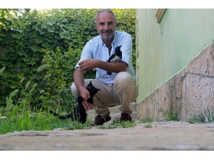 Vanlı İş Adamının Hayvan Sevgisi