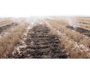 Son 3 Yılda Diyarbakır’da Çiftçilere 765 Bin Tl Ceza Kesildi