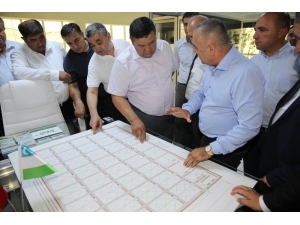 Buhara’ya 30 Bin Dekar Sera Antalya’dan