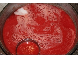 Kilis’te Salça Telaşı Başladı