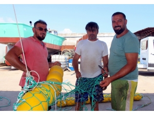 "Balık Av Yasakları Gürcistan’a Yaradı"