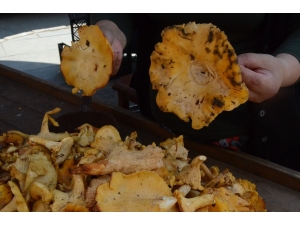 ‘Tavuk Tirmidi’ Tezgahlarda Son Günlerini Yaşıyor