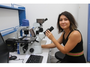 Kanser Tedavisinde İlaç Direncine Karşı Yeni Adımlar