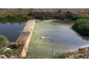 Çiftçiler Tarım Arazilerini Kanalizasyon Sularının Da Karıştığı Dere Yataklarından Suluyor