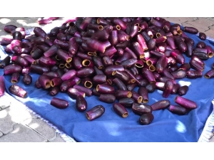 Kilis’te Kurutmalık Patlıcanlar Oyulmaya Başlandı