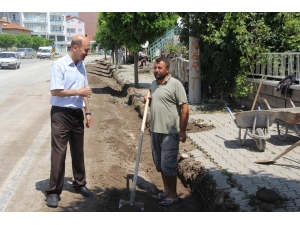 Başkan Bozkurt Yatırımları İnceledi