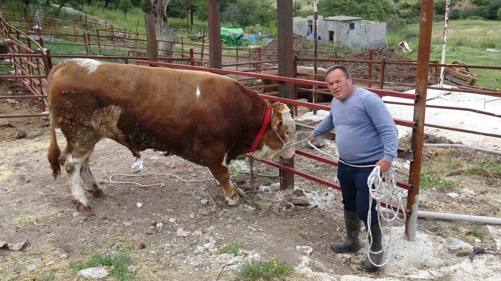 1-tonluk-pasakoy-efesi-420-bin-tl-den-alicisini-bekliyor
