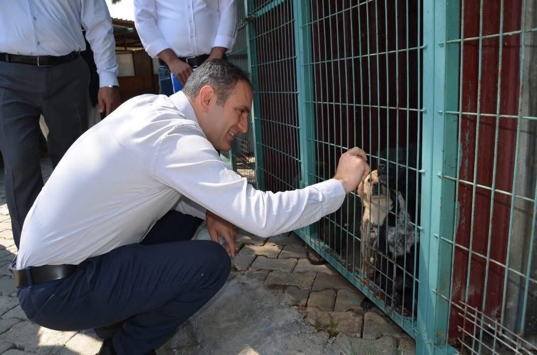 bayindir-da-hayvan-bakim-evi-ve-dogal-yasam-alaninda-inceleme