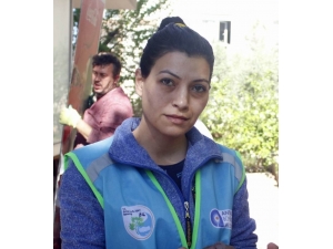 Antalya’da Kediye Yumruk