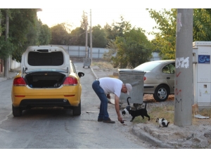 Hayvansever Taksiciden İnsanlık Dersi