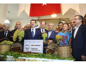 Bakan Pakdemirli, Üzüm Rekoltesini Açıkladı
