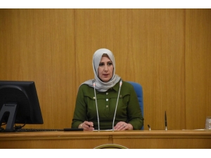 Düzce’de Park Ve Piknik Alanları Oluşturuluyor