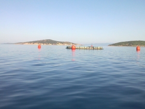 Ayvalık Balık Çiftliği Davasında Sevindirici Haber