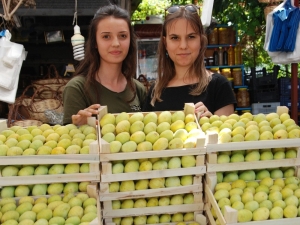 Silifke’de İncir, Üreticisinin Yüzünü Güldürüyor