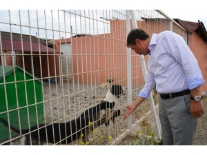 Rektör Ayrancı’dan Örnek Uygulama