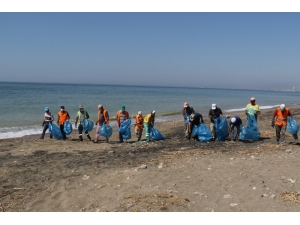 Akdeniz’de Caretta Caretta Yuvalarının Çevresi Temizlendi