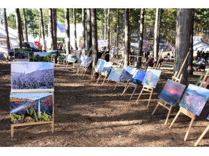 Zorkun’un Fotoğrafları Sergilenmeye Başladı
