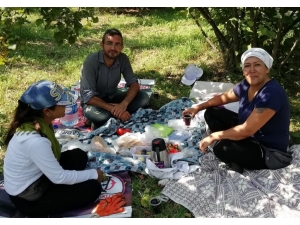 Fındık Toplayan Kadın Karşısında Tilkiyi Görünce Sohbete Başladı