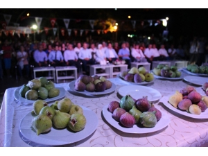 Belen’de İncir Üreticileri Yarıştı