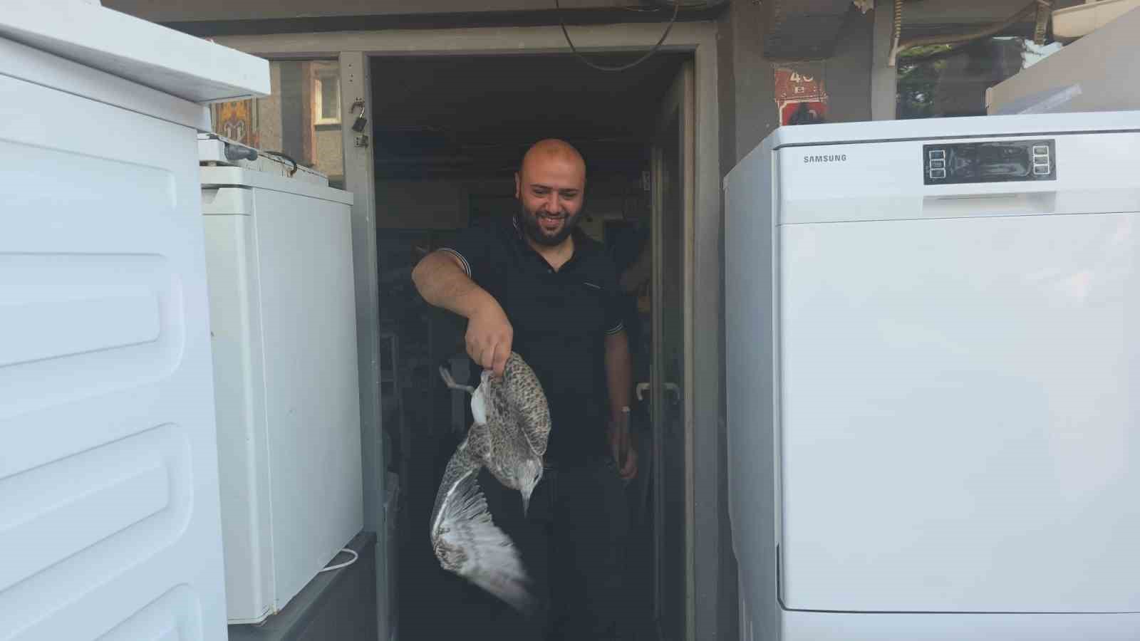 marti-yavrusu-beyaz-esya-tamircisini-karistirdi