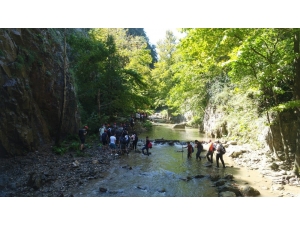 Yaz Sıcağında Serinleten Yürüyüş