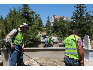 Belediye Niğde’yi Yeşillendiriyor