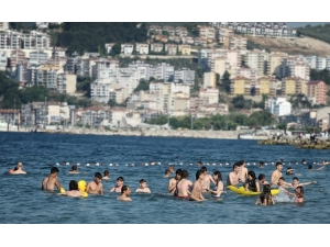 Bursa Sahillerinden Sevindirici Haber