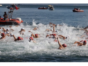 ‘Altın Kulaçlar’ Karamürsel’de Yarıştı