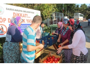 Sarıcakayalılar, Hediyelik Salçaları Üretmeye Başladı
