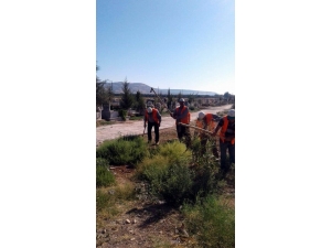 Asri Mezarlıkta Bayram Mesaisi