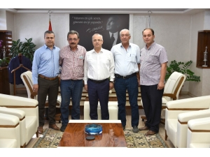 Salihli’de Deve Güreşlerinin Tarihi Belli Oldu