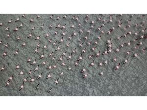 Burdur’un Yarışlı Gölü, 141 Tür Kuş Türüne Ev Sahipli Yapıyor