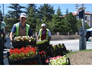 Şuhut’ta Çiçekler Açıyor