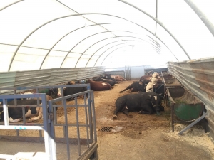 “Emekli İkramiyelerinden Sonra Satışlar Daha Da Artacak”