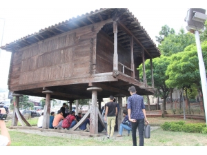 Savaştan Kaçtılar, Serendere Sığındılar