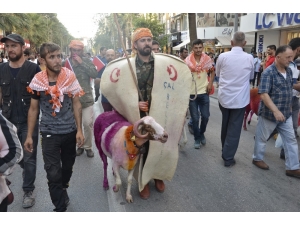 Denizli’de Koçlar, İspanya Boğa Güreşlerinin Alternatifi Oluyor