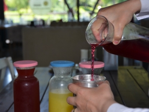 Sıcak Günlere Şerbet, Komposto Ve Salata Önerisi