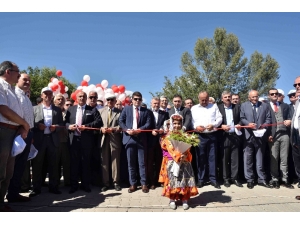 Taşköprü’de Dünyaca Ünlü Sarımsağın Festivali Başladı
