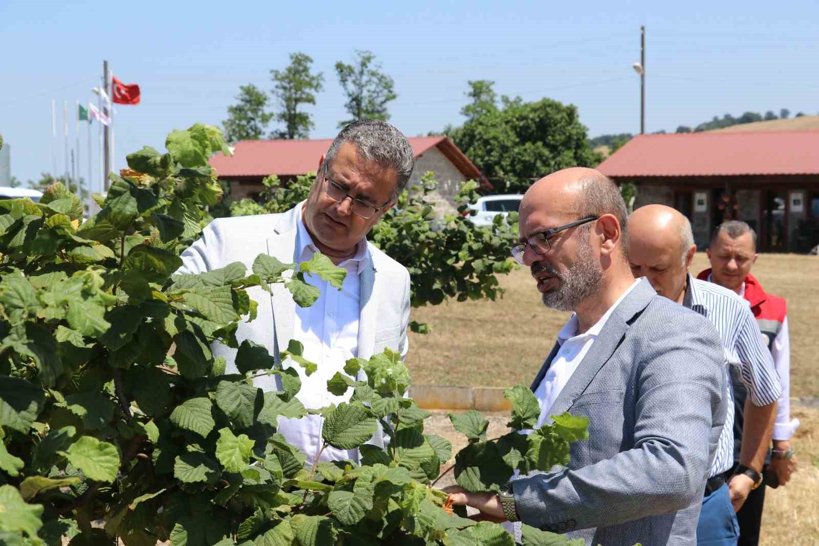samsun-da-tarimsal-uretim-calismalari-yerinde-incelendi
