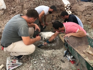 Çankırı’da 8,5 Milyon Yıllık Fosil Bulundu