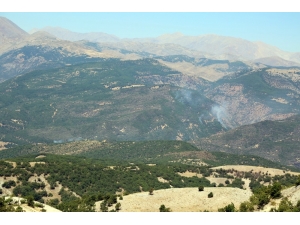 Tunceli’de Ormanlık Alandaki Örtü Altı Yangını