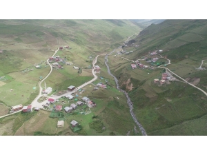 Anzer’den Propolis Atağı