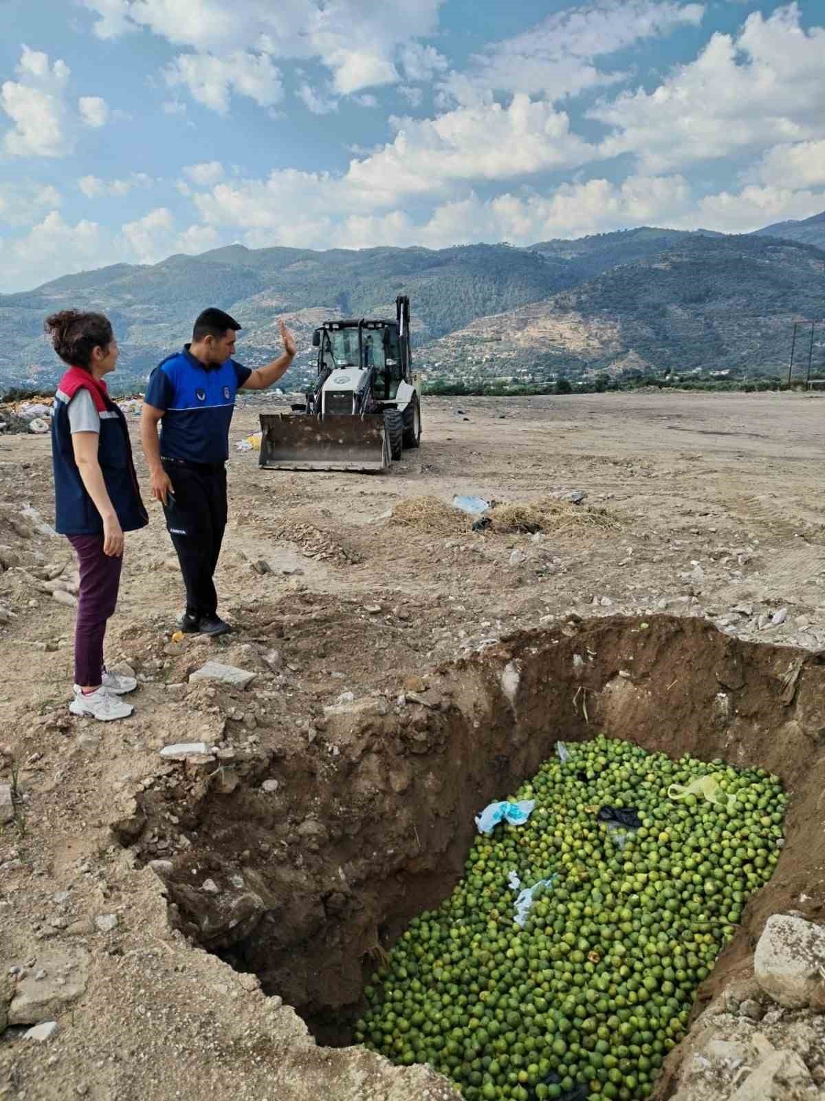 bozdogan-da-hastalikli-ilekler-imha-edildi