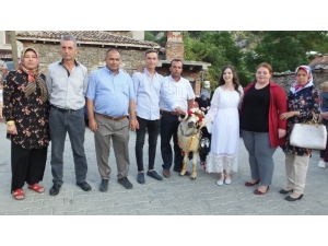 Balıkesir’de Asırlık Nişanlıya Koç Götürme Geleneği Devam Ediyor