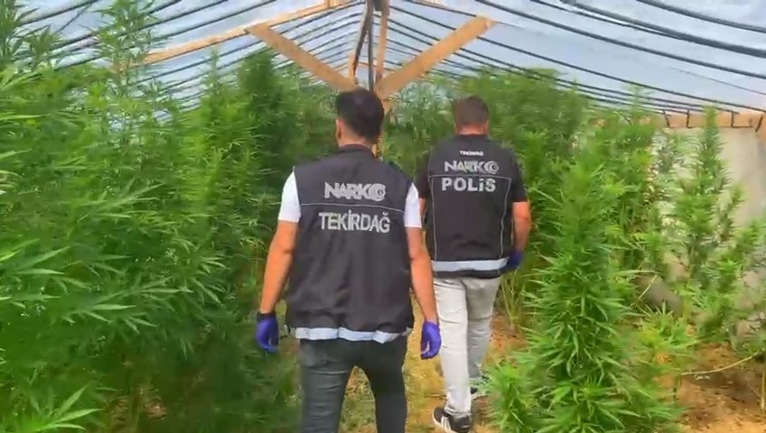 tekirdag-da-bag-evine-narkotik-operasyonu-109-kok-hint-keneviri-ele-gecirildi