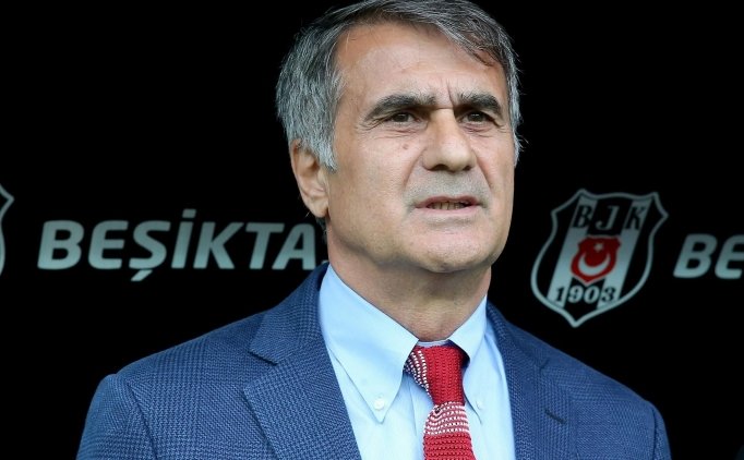 Şenol Güneş'ten Partizan Ve Tosic Açıklaması