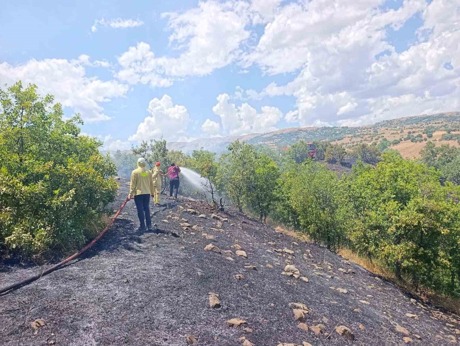 bingol-de-orman-yangini-buyumeden-sonduruldu