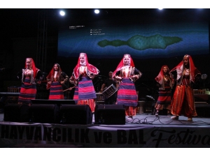 14. Çerkeş Kültür, Hayvancılık Ve Bal Festivali