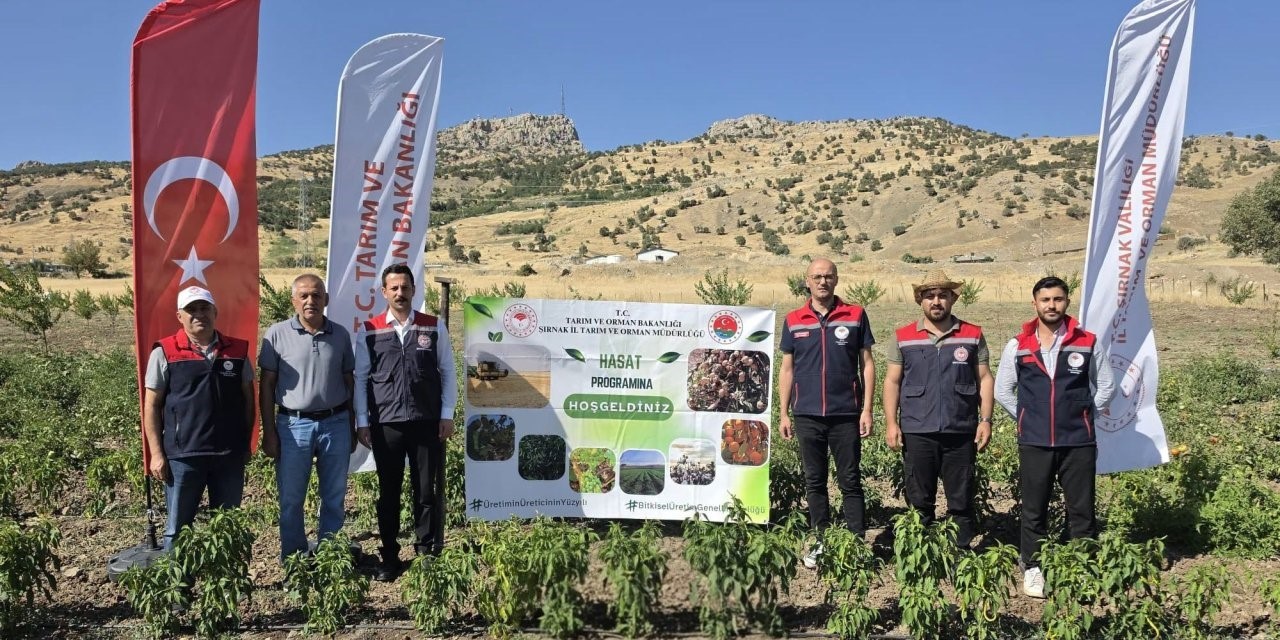 sirnak-ta-take-projesi-kapsaminda-sebze-hasadi-gerceklestirildi