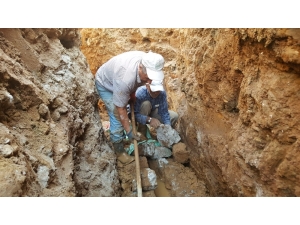 Kendilerini Yabani Hayvanlara Adadılar